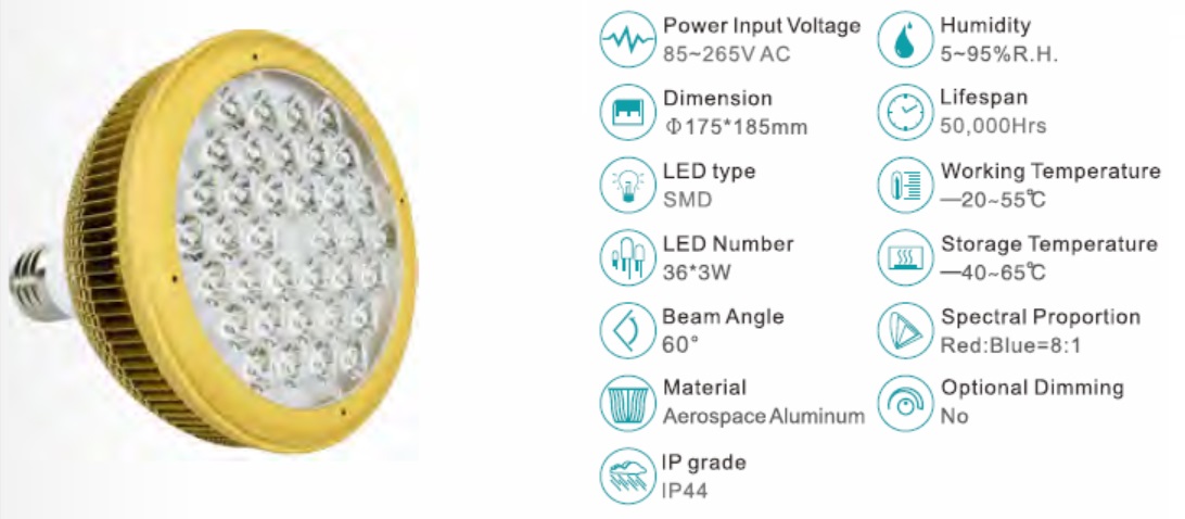 LED 램프 공장