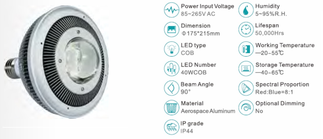 LED 램프 공장