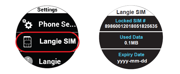 Langie SIM 카드 글로벌 국가